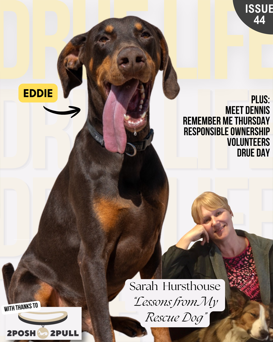 DRUE Life newsletter — September 2026