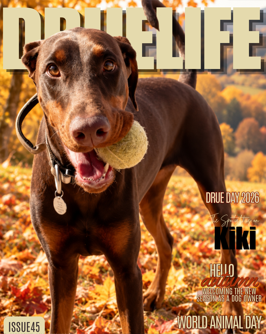 DRUE Life newsletter — October 2026